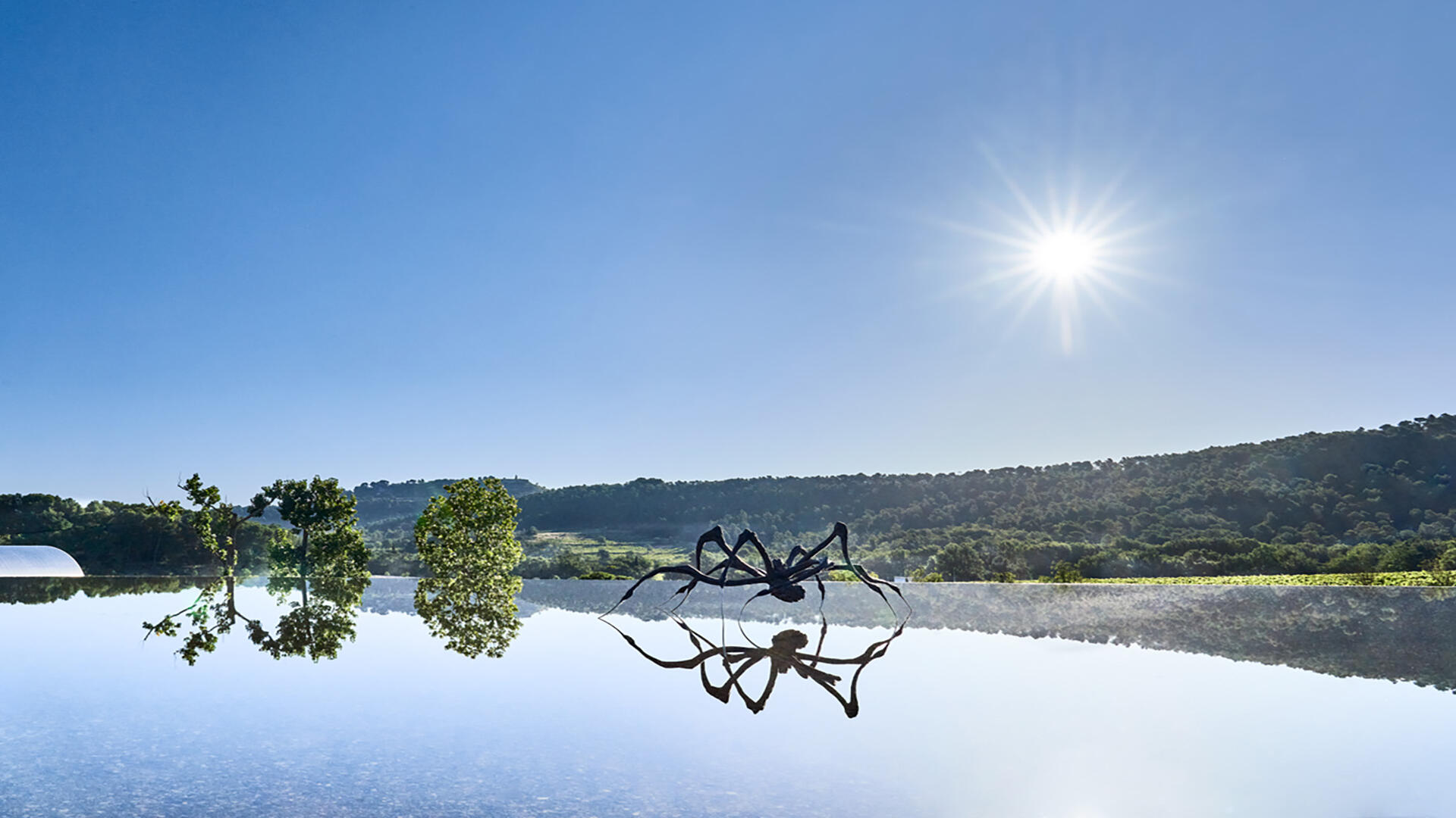 Art_Louise_Bourgeois_Crouching_Spider