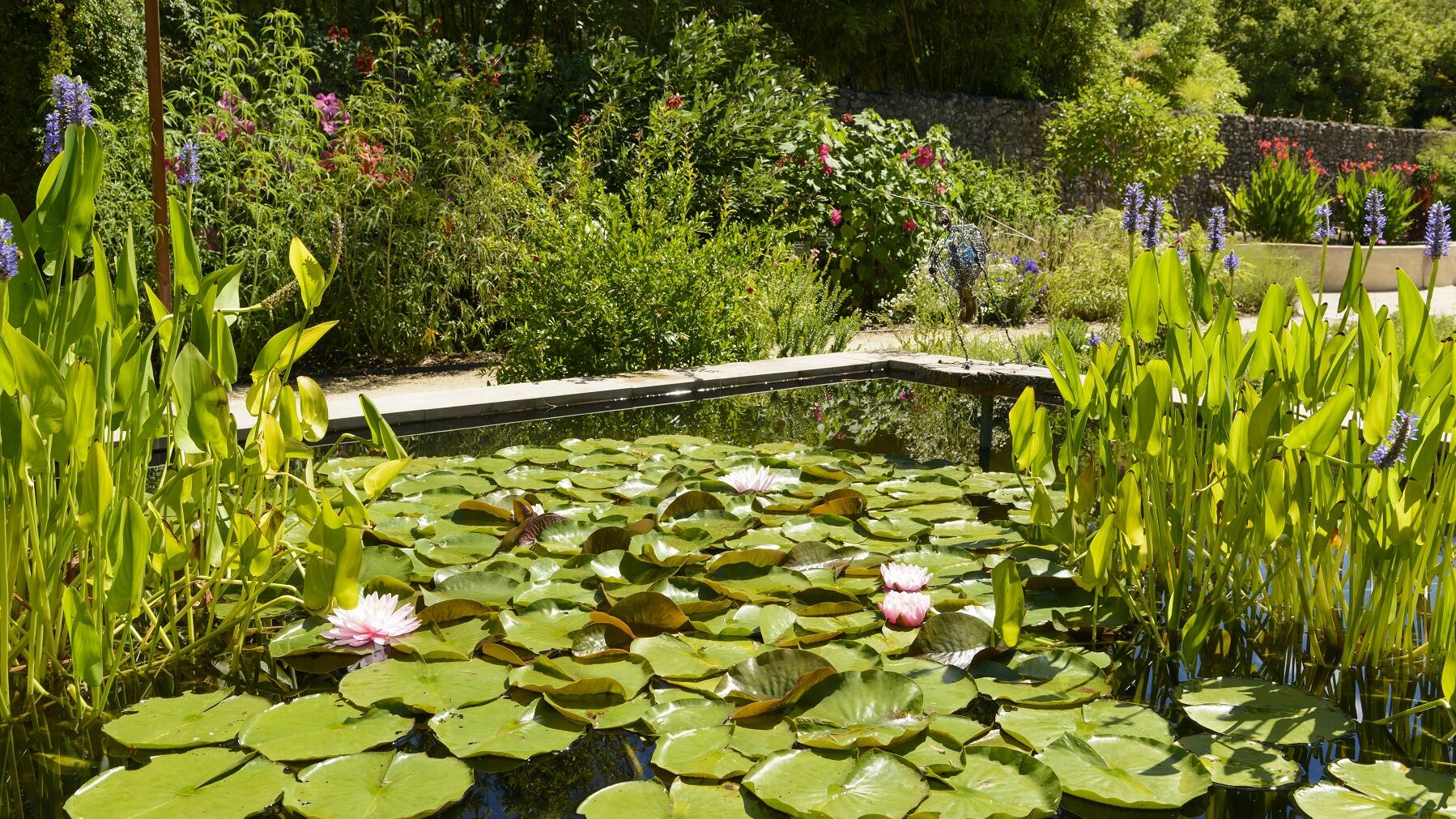 Jardin des bassins Eugène
