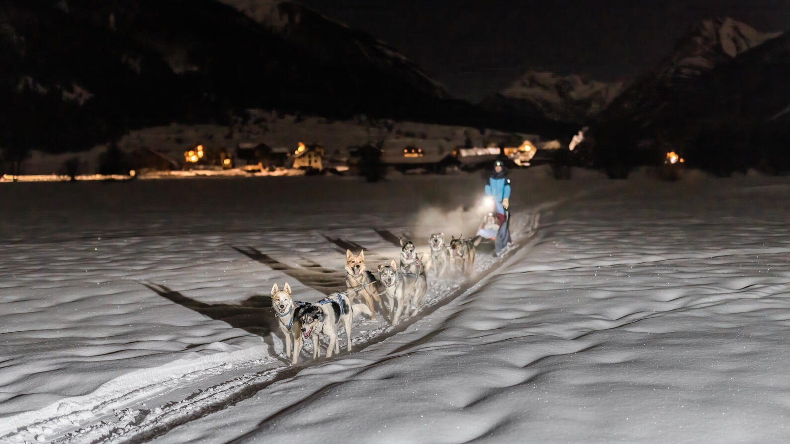 Balade nocturne chien de traineau - L'Empreinte Nordique