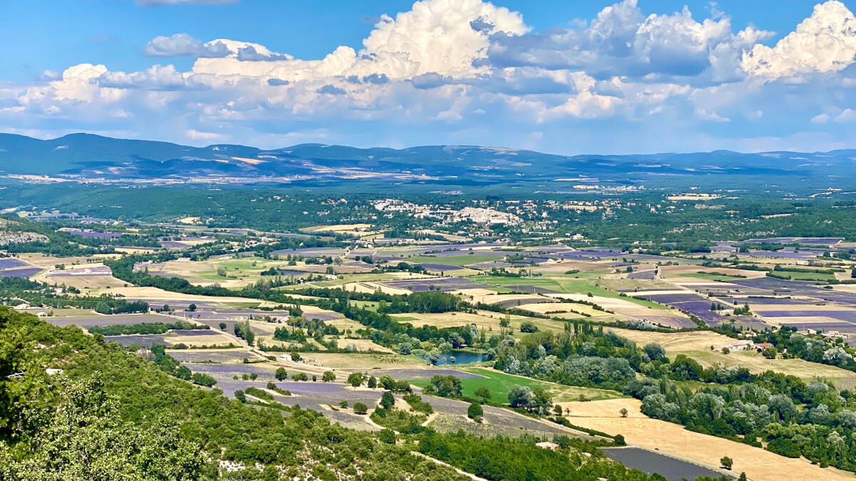 La Plaine de Sault depuis la D1