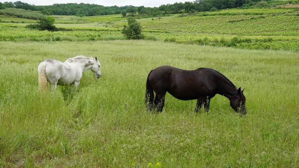Une pause en douceur