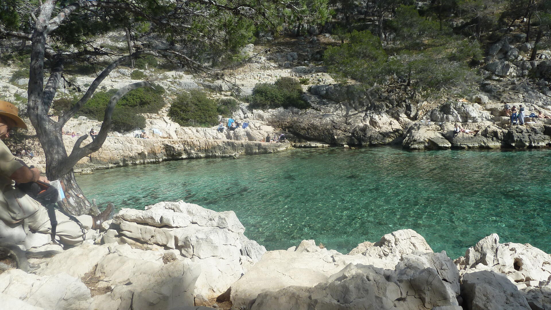 Calanque Port Pin