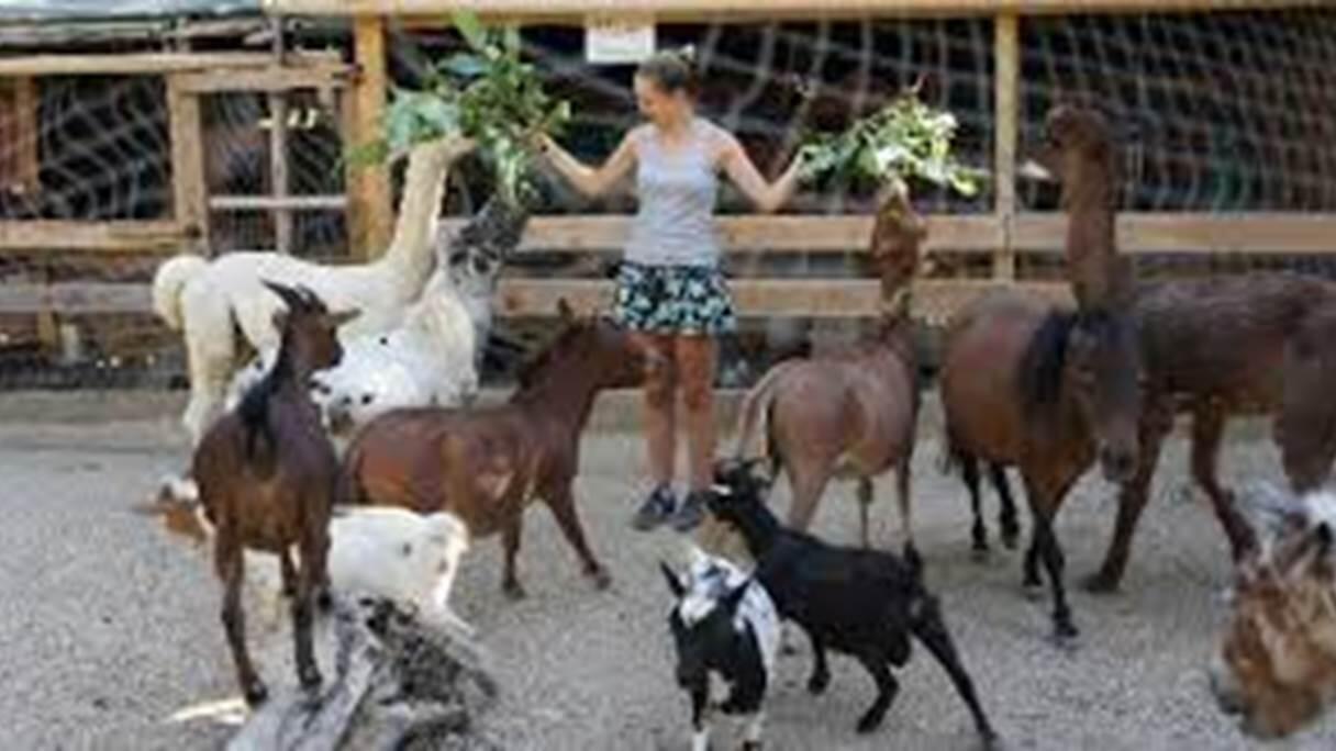 jardin animalier de mialet