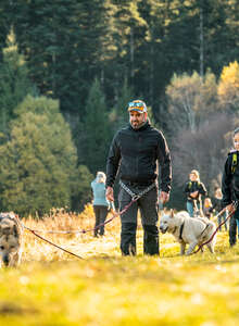 Hiver 2025/2026 - Bougez dans le Pilat - Cani-randonnée (à partir de 8 ans) - Saint-Régis-du-Coin