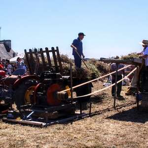 Fête de la moisson