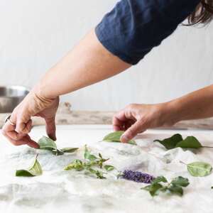 Atelier confection d’un herbier en cyanotope Atelier confection d’un herbier en cyanotope