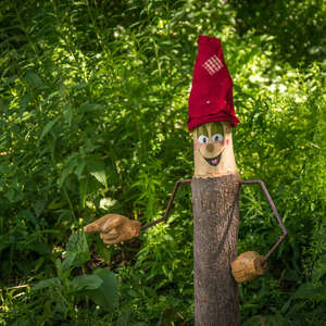 Le sentier des lutins