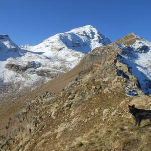 Alpages, Cascades : Hors des sentiers battus !