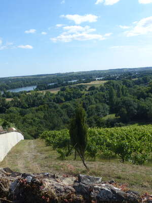 Vignoble et terroirs au château d'Epiré Vignoble et terroirs au château d'Epiré