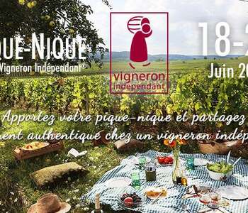 Pique-nique chez le vigneron Pique-nique chez le vigneron