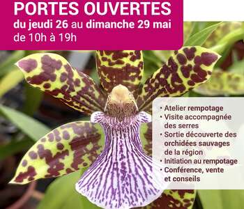 Portes ouvertes à L'Orchidium Portes ouvertes à L'Orchidium