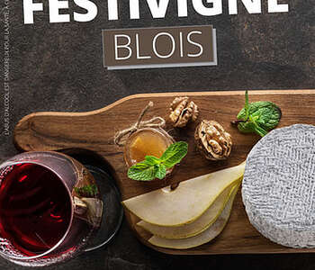 Salon FESTiViGNE Salon FESTiViGNE