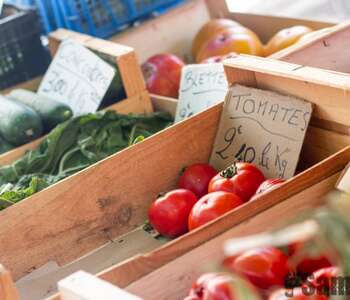 MARCHÉ DE PLEIN VENT