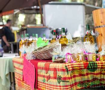 MARCHÉ DE PLEIN VENT