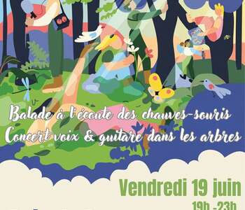 NUITS DES FORÊTS A POUZES