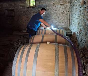 DÉCOUVERTE DU MÉTIER DE VIGNERON