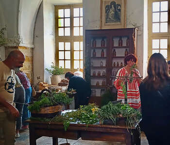 LES ATELIERS DES PLANTES MÉDICINALES DE PALMIRA