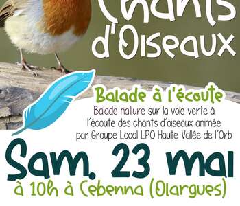 BALADE NATURE : CHANTS D’OISEAUX