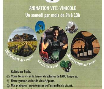 ANIMATION VITI-VINICOLE UN SAMEDI PAR MOIS