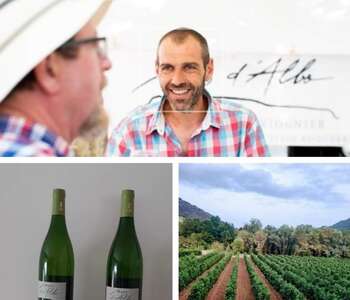 BALADE DES SAVEURS– IMMERSION AU CŒUR DU VIGNOBLE