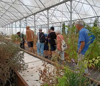 LES MERCREDIS AU PAYS - AGROSYMBIOSE