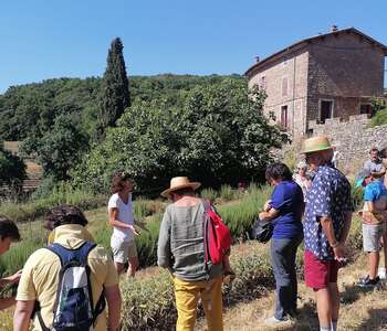 LES MERCREDIS AU PAYS - DOMAINE DE POUZES