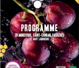 LA RANDO DE L’AOP MINERVOIS