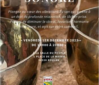 VOYAGE SONORE