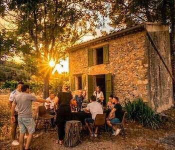 DÉGUSTATION DE VINS ET DE TAPAS EN PLEINE NATURE