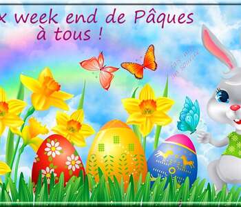 COURSE AUX OEUFS ET GOUTER DES ENFANTS