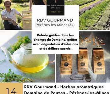 RDV GOURMAND AU DOMAINE DE POUZES - HERBES AROMATIQUES