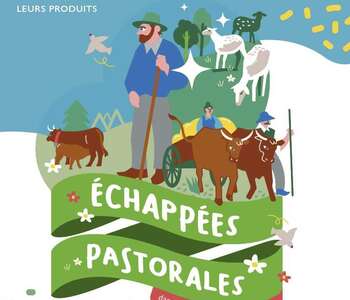 LES ÉCHAPPÉES PASTORALES - LE RELAIS DES OLIVIERS