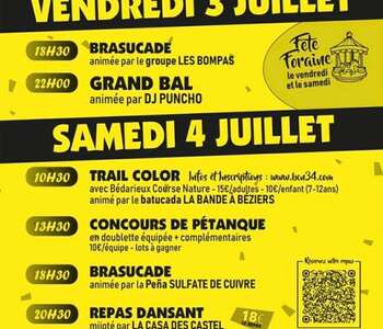 FÊTE LOCALE BAL AVEC DJ PUNCHO