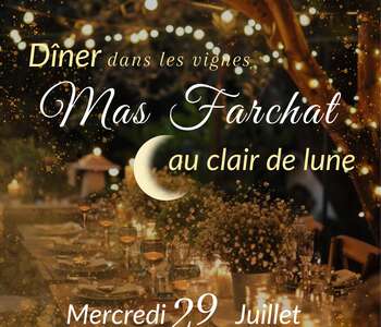 LE DÎNER ÉLÉGANT AU CLAIR DE LUNE
