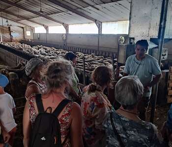 LES MERCREDIS AU PAYS : GAEC DE MONTAHUT