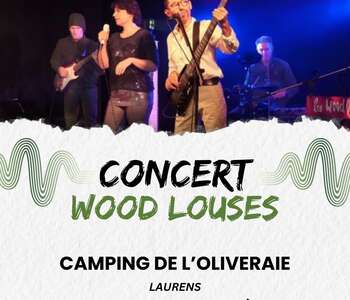 SOIREE CONCERT AVEC LE GROUPE LES WOOD LOUSES