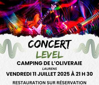 SOIREE CONCERT AVEC LE GROUPE LEVEL
