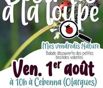 MES VENDREDIS NATURE À CEBENNA : BESTIOLES À LA LOUPE !