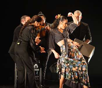 RECONDITO DE LUCIA LA BRONCE