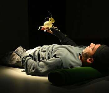 MINIMUS OU LE COLLEMBOLE, UN VIVANT SOUS NOS PAS