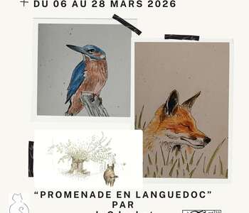 EXPOSITION "PROMENADE EN LANGUEDOC"