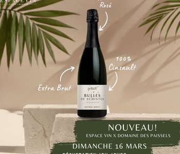 DÉGUSTATION DE VINS