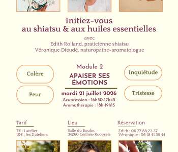 INITIATION SHIATSU, GESTION DES ÉMOTIONS