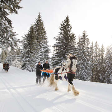 ★追跡&関税込【Apres Ski】Dune Carey Ski Joëring | Portes du Soleil