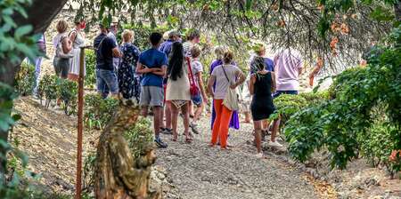 VISITE GUIDÉE DU JARDIN DU CALVAIRE VISITE GUIDÉE DU JARDIN DU CALVAIRE