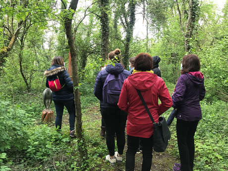 Visite guidée de l'Ile du Rhin