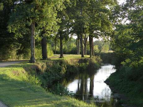 Les Châteaux et forêt de Chaille