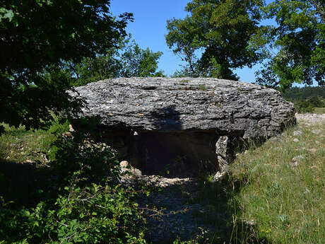 DOLMEN DE CHANGEFEGE