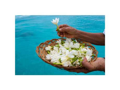The Islands of Tahiti China Seminars 2025 The Islands of Tahiti China Seminars 2025