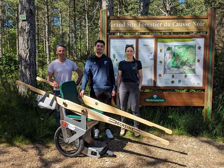 Balade dans la forêt du Cade en Bécasine